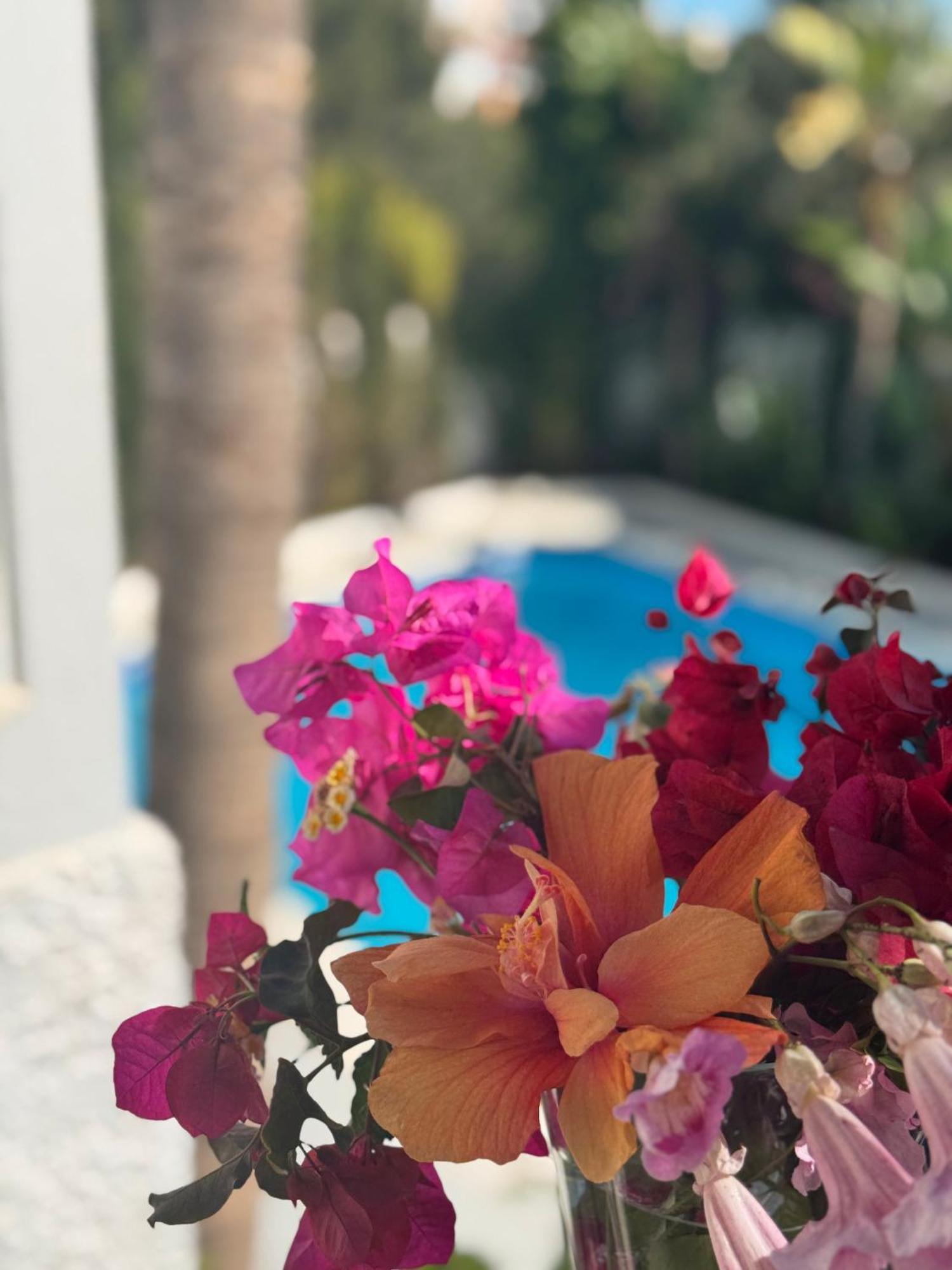 Villa Nerja Eksteriør billede